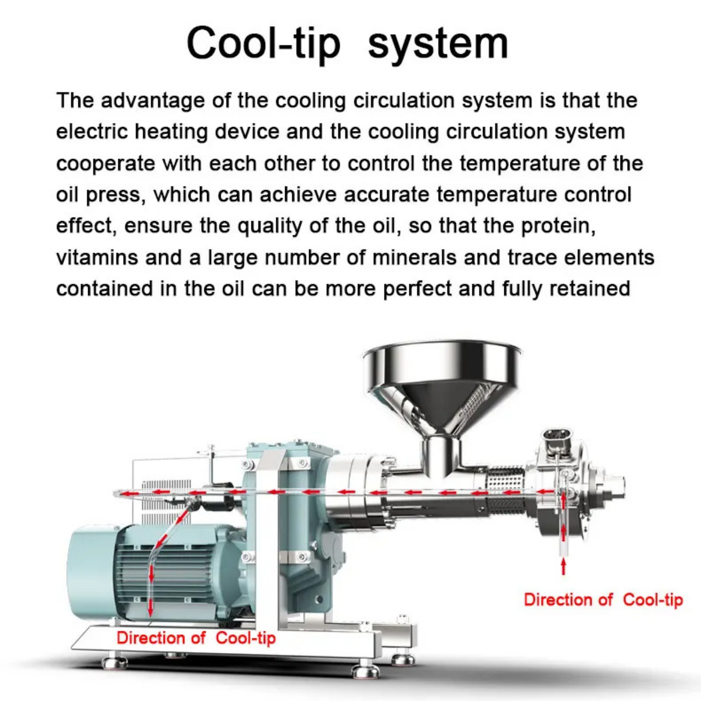 Professional Sunflower Coconut Cold Pressing Machine - Cocoa Oil Extraction System