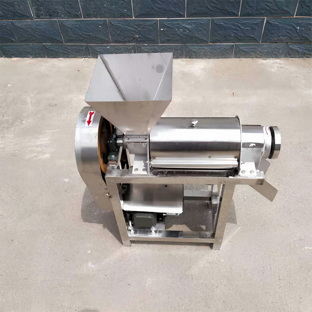 High-Efficiency Commercial Fruit Juice Extractor with Modern Design for Fresh Juice Production