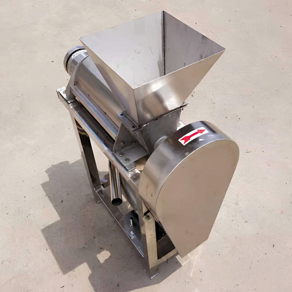 High-Efficiency Commercial Fruit Juice Extractor with Modern Design for Fresh Juice Production
