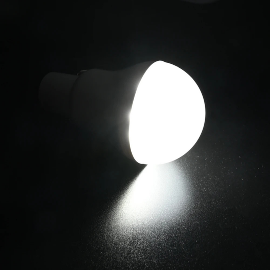 Professional Solar LED Bulb Light - Waterproof Outdoor Illumination System