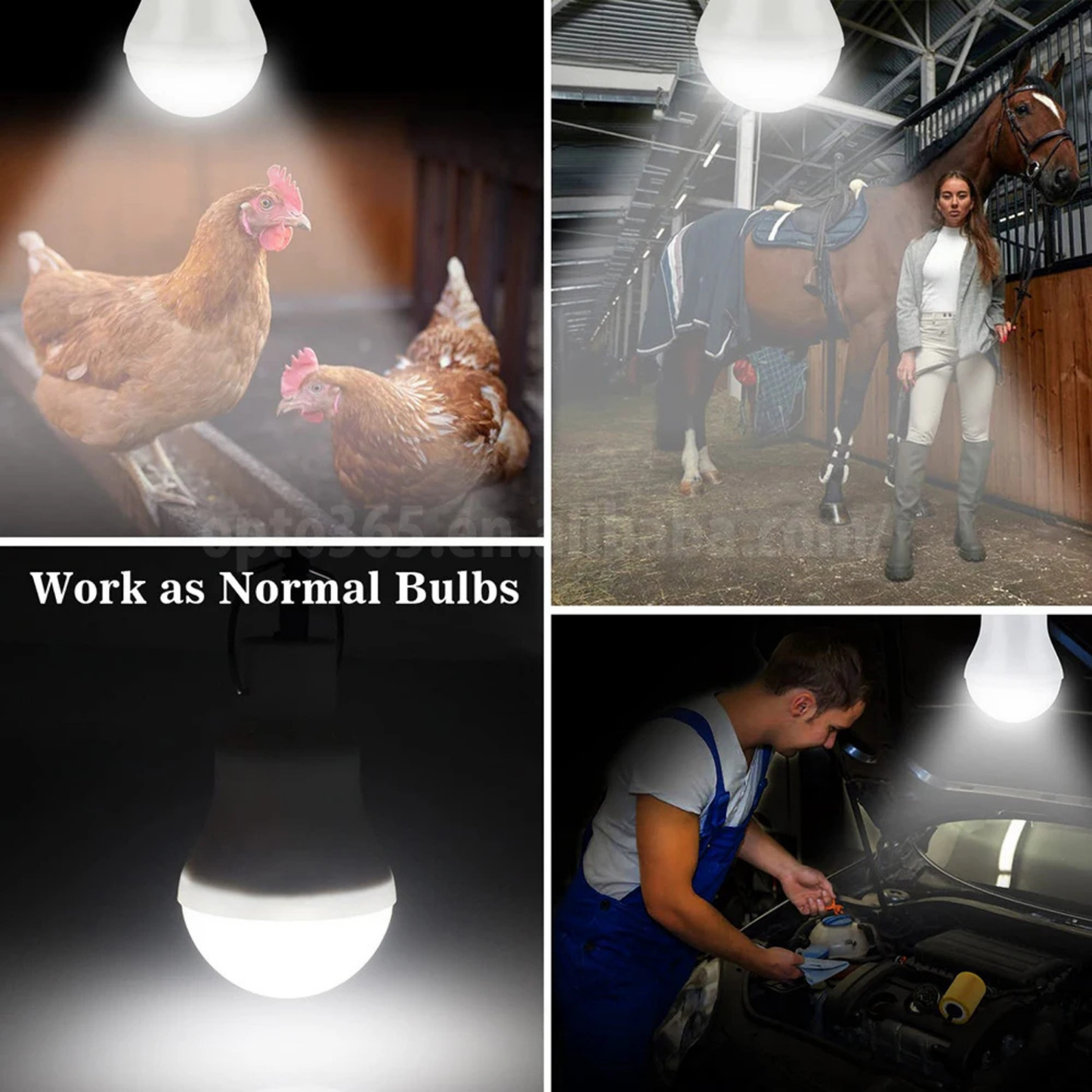 Professional Solar LED Bulb Light - Waterproof Outdoor Illumination System