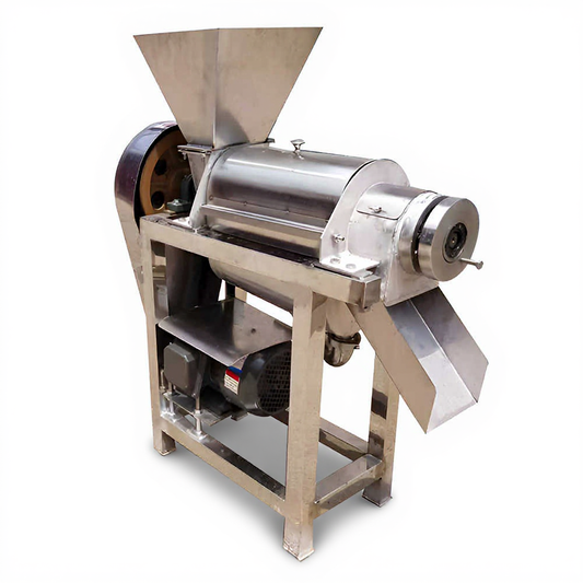 High-Efficiency Commercial Fruit Juice Extractor with Modern Design for Fresh Juice Production